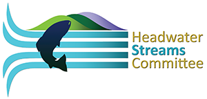Headwater Streams Committee Logo