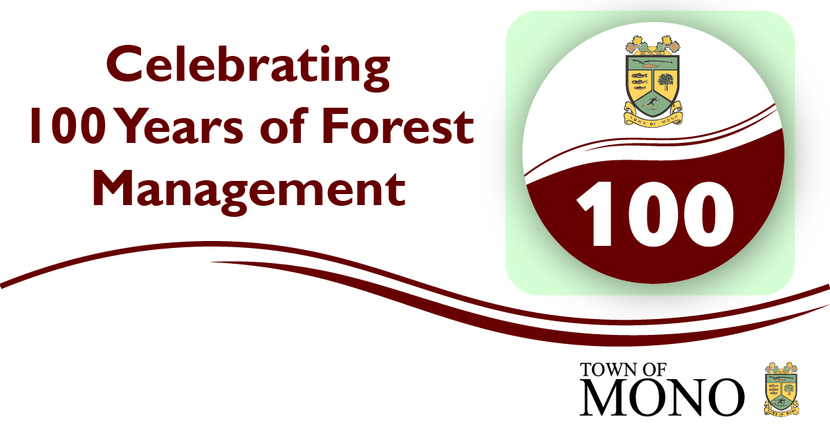 Celebrating 100 Years of Forest Management Promotional graphic
