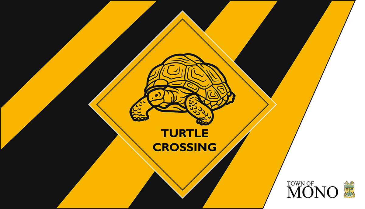 Turtle crossing sign with Town of Mono logo