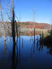 Mono Cliffs Park
