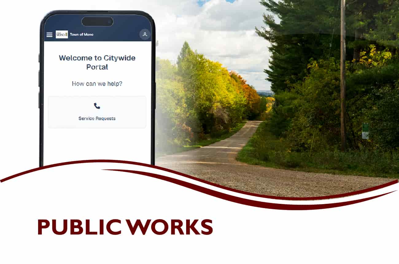 Phone with the start of the CityWide Service Request Website