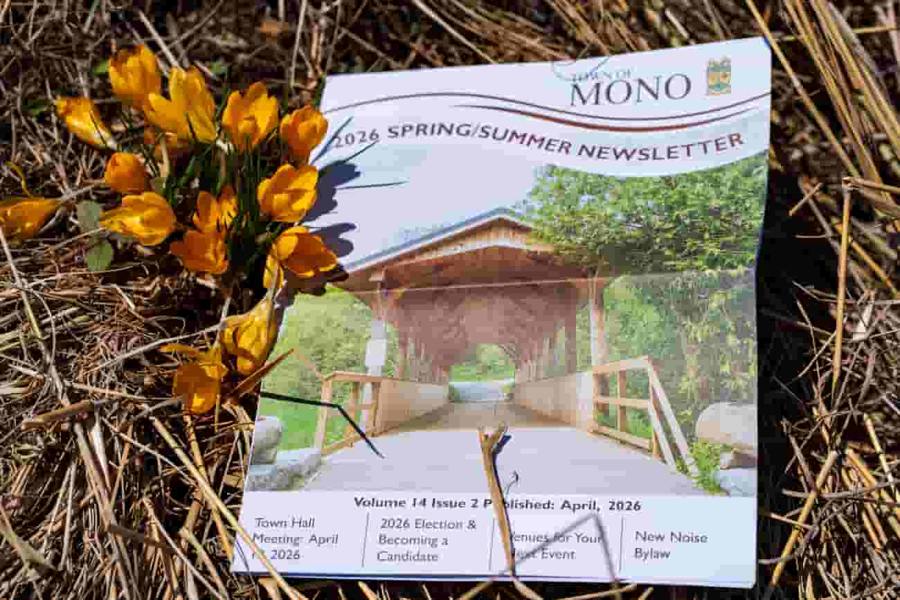 2026 Spring / Summer issue of the newsletter in a field by some crocuses