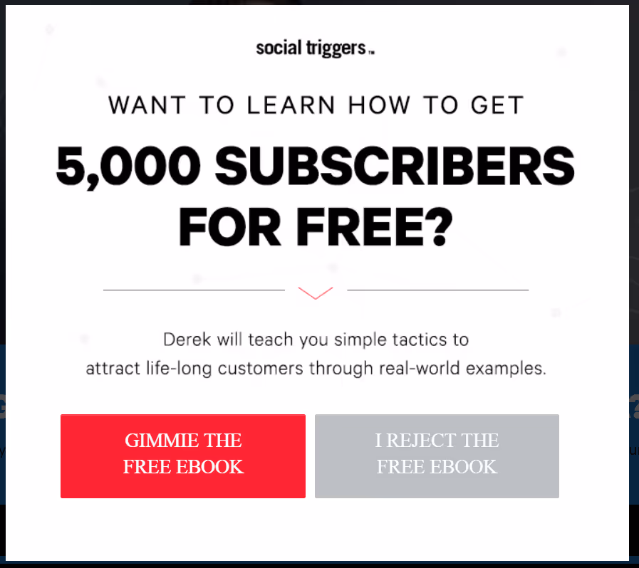 Ebook lead magnet example