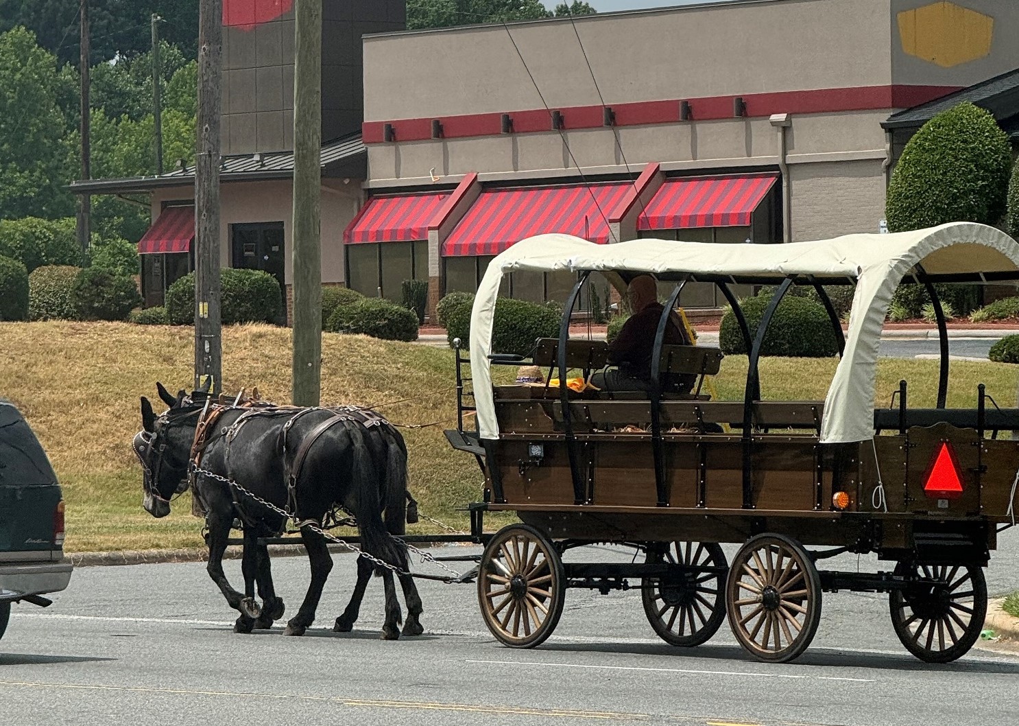 Draft Wagon & Mules