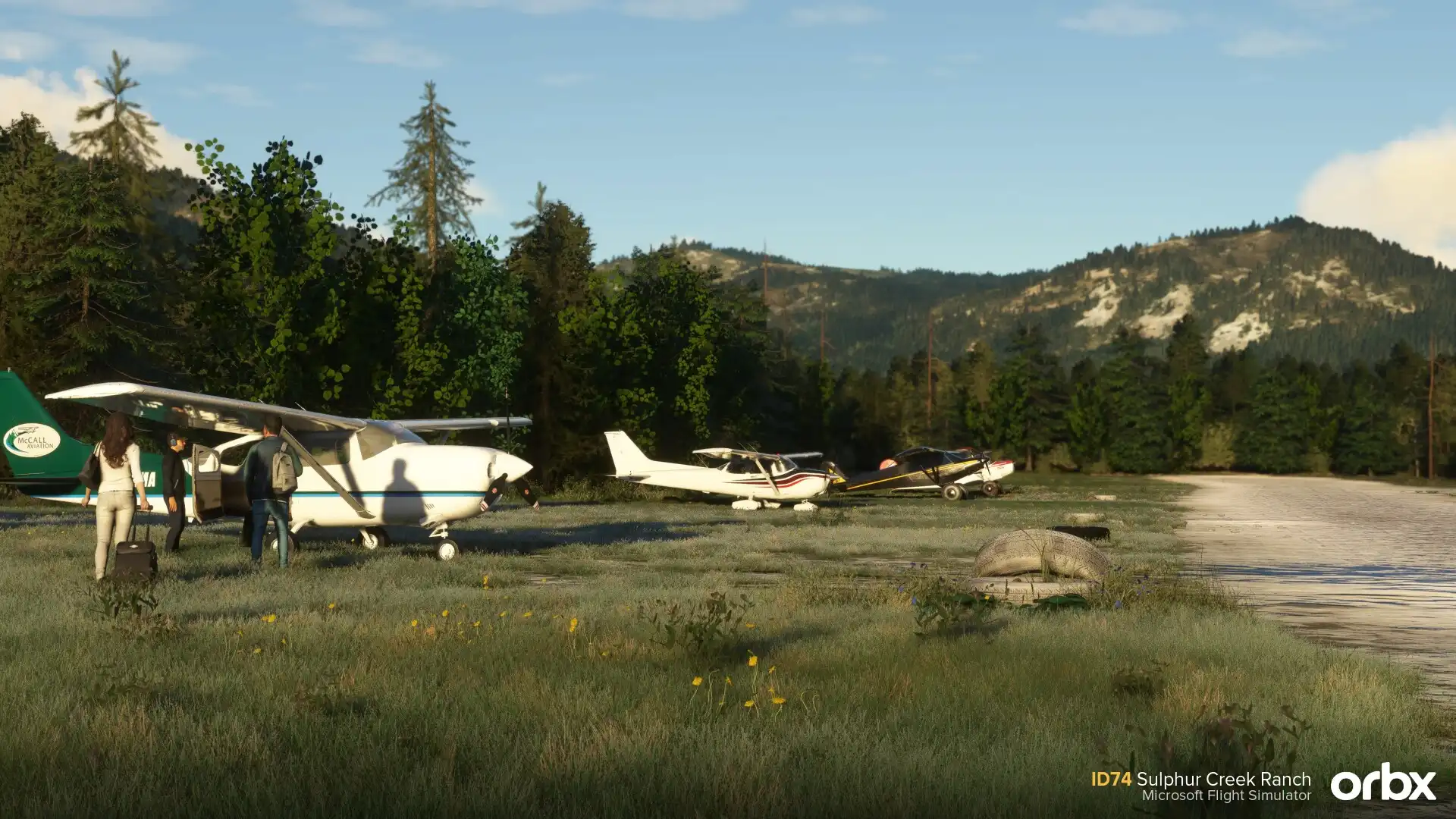 __wf_reserved_inherit