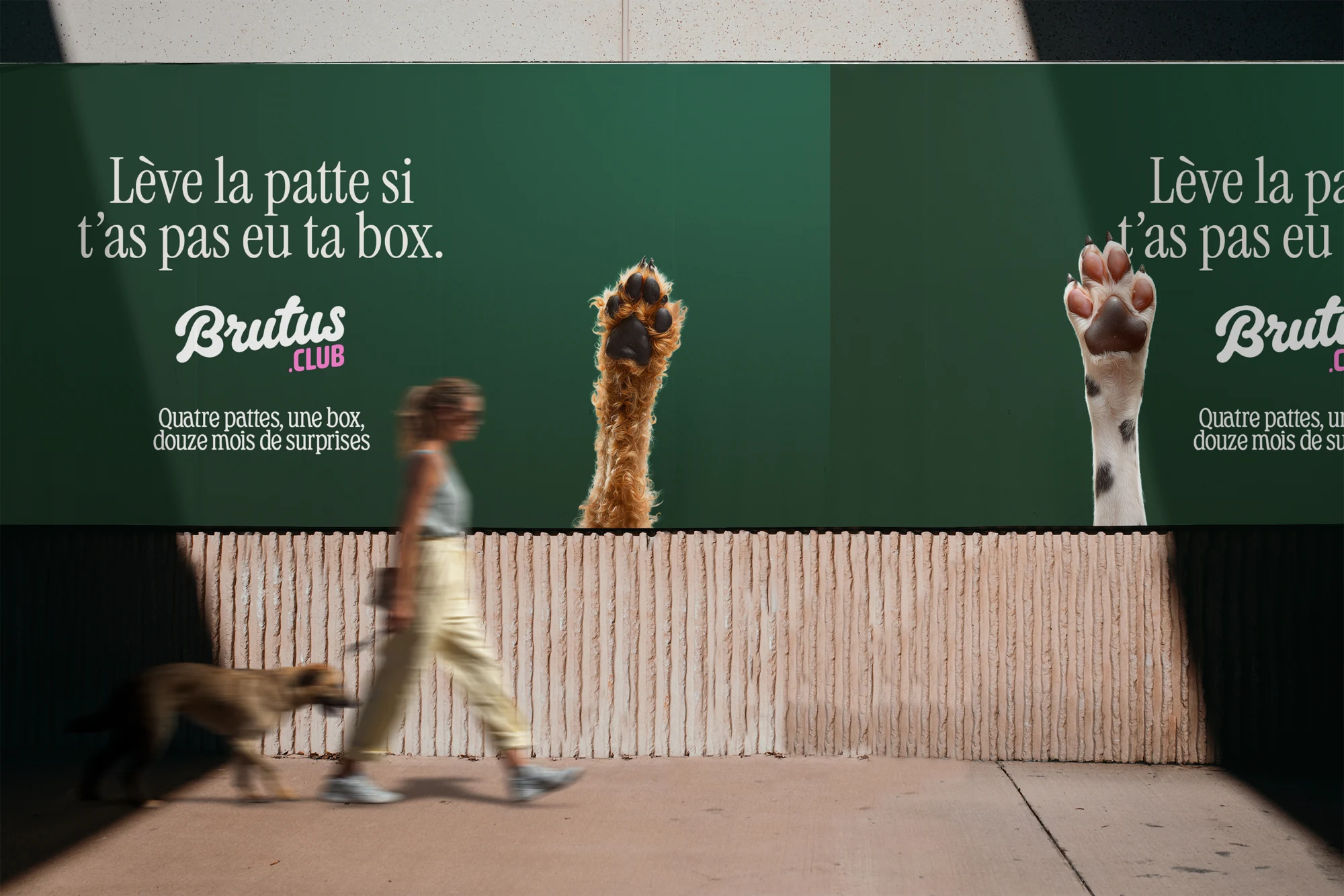 Proposition de campagne Brutus présentée sur un panneau d’affichage.
