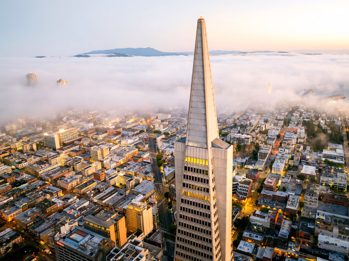 Aerial view of San Francisco with the Transamerica Pyramid building standing prominently above a layer of fog covering the city.