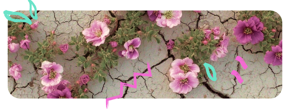 התמונה מציגה פרחים סגולים וורודים הצומחים מתוך אדמה סדוקה ויבשה. מעליהם נוספו איורים צבעוניים בסגנון ידני – עלים בטורקיז וקווים שובביים בוורוד – שמוסיפים תחושה אמנותית ושובבה לנוף הטבעי.