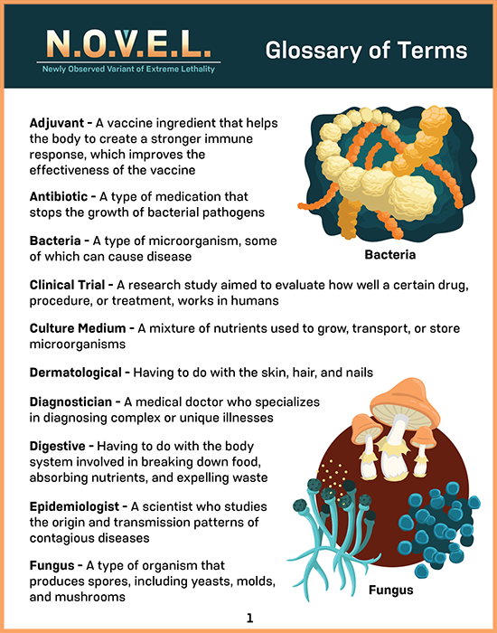 N.O.V.E.L. Glossary