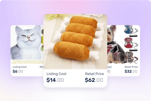 Best cat accessories for dropshipping