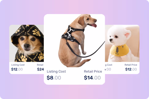 Pet Accessories