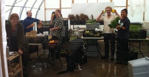 The Big Carrot entrance