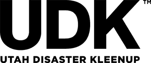 UDK logo in black