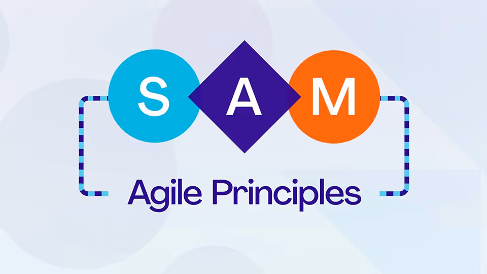 Project Management Institute Standard Plus 2