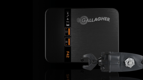 Gallagher Security