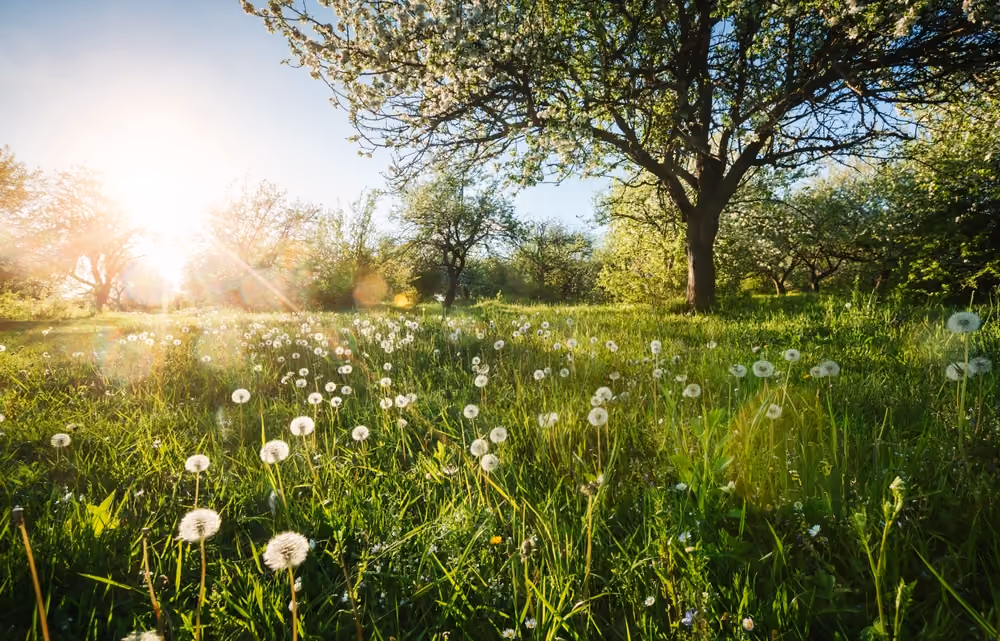 When most people think of spring, they think about buying homes. But for buyers considering new construction, spring is something even more important.