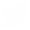 Twitter bird logo in white on a black background.