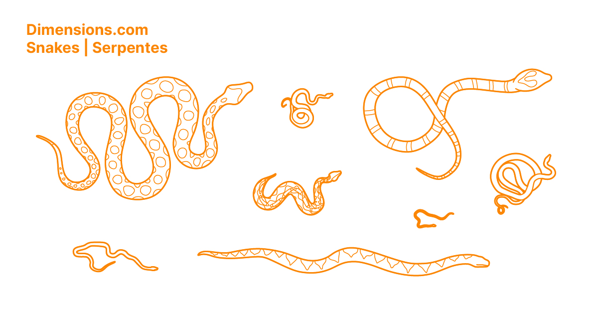 Drop Down 1 | Python snake, Snake drawing, Snake art🕡 Descubra o ...