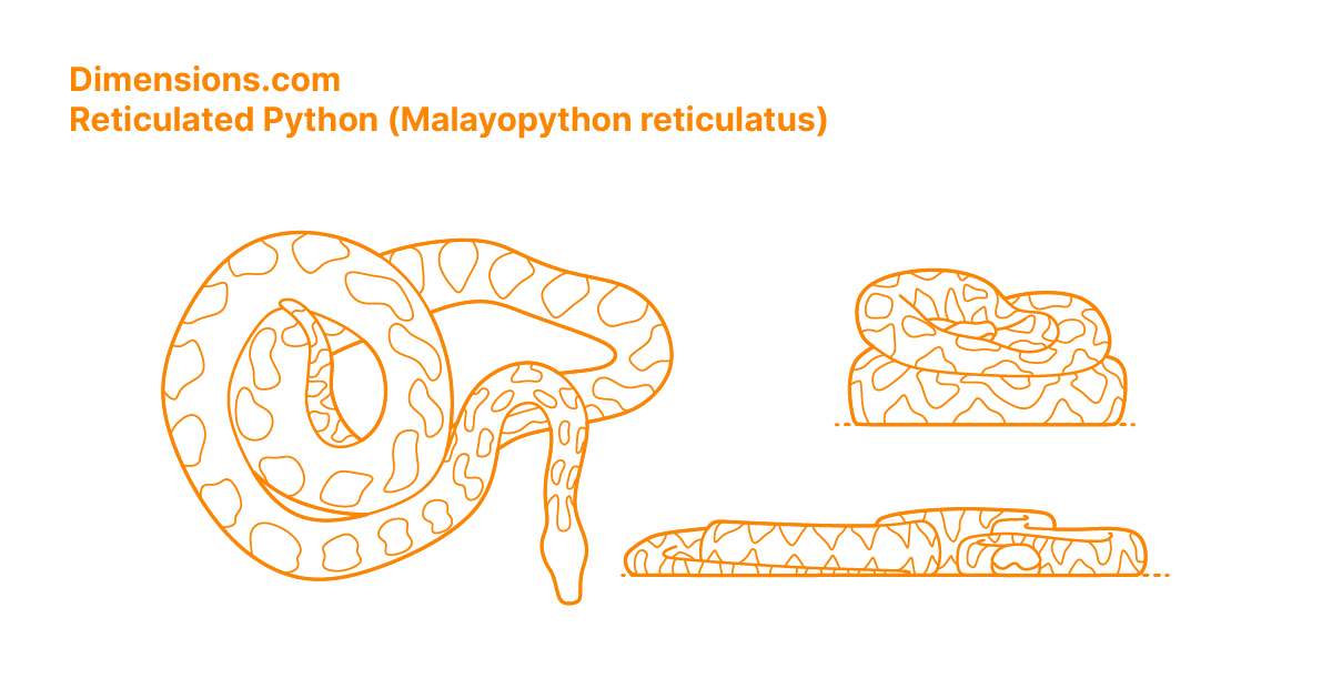 SUBU RE:PYTHON GRAY サイズ1 24-25.5cm 2009B - Whiteside Machine Company