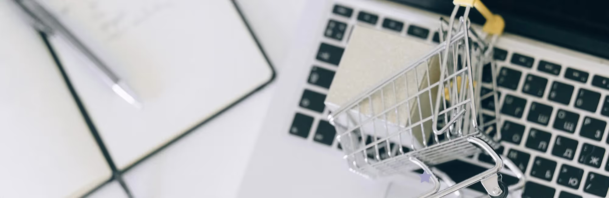 Guidelines on Choosing an Ecommerce Platform for Your Business