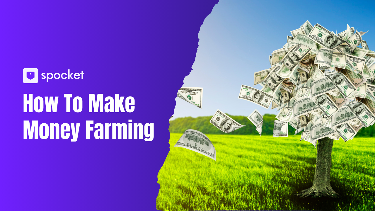 Cómo ganar dinero con la agricultura