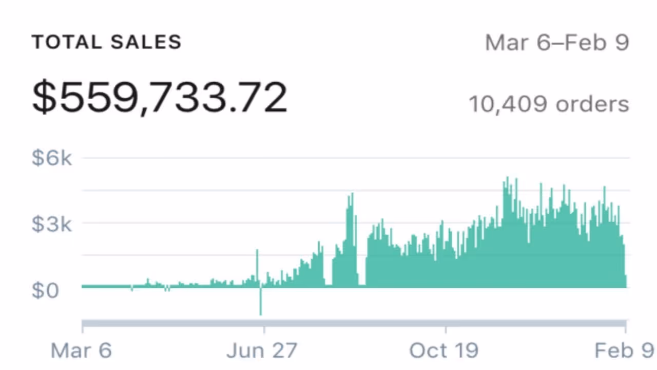 gefälschte Shopify-Gewinn-Websites