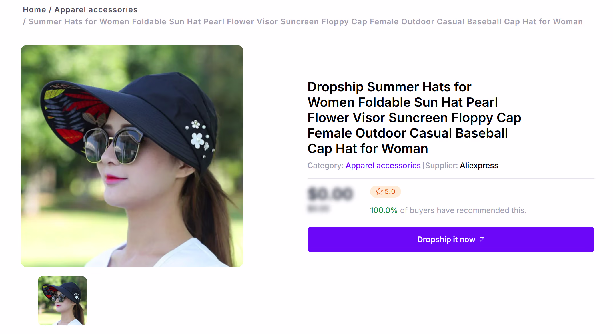 Summer Hat