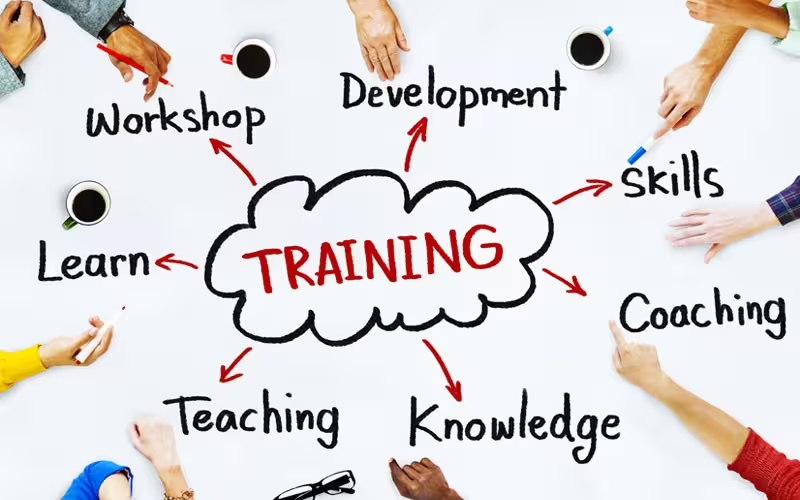 Investing in Employee Development