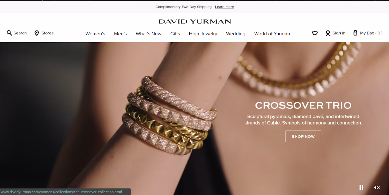 Screenshot del sito web di David Yurman