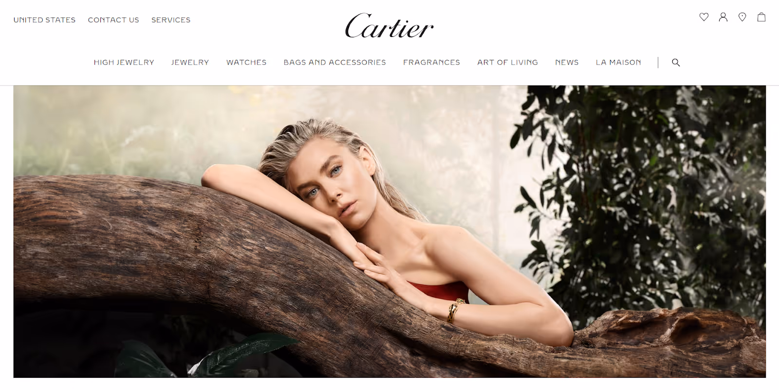 Screenshot der Cartier-Homepage