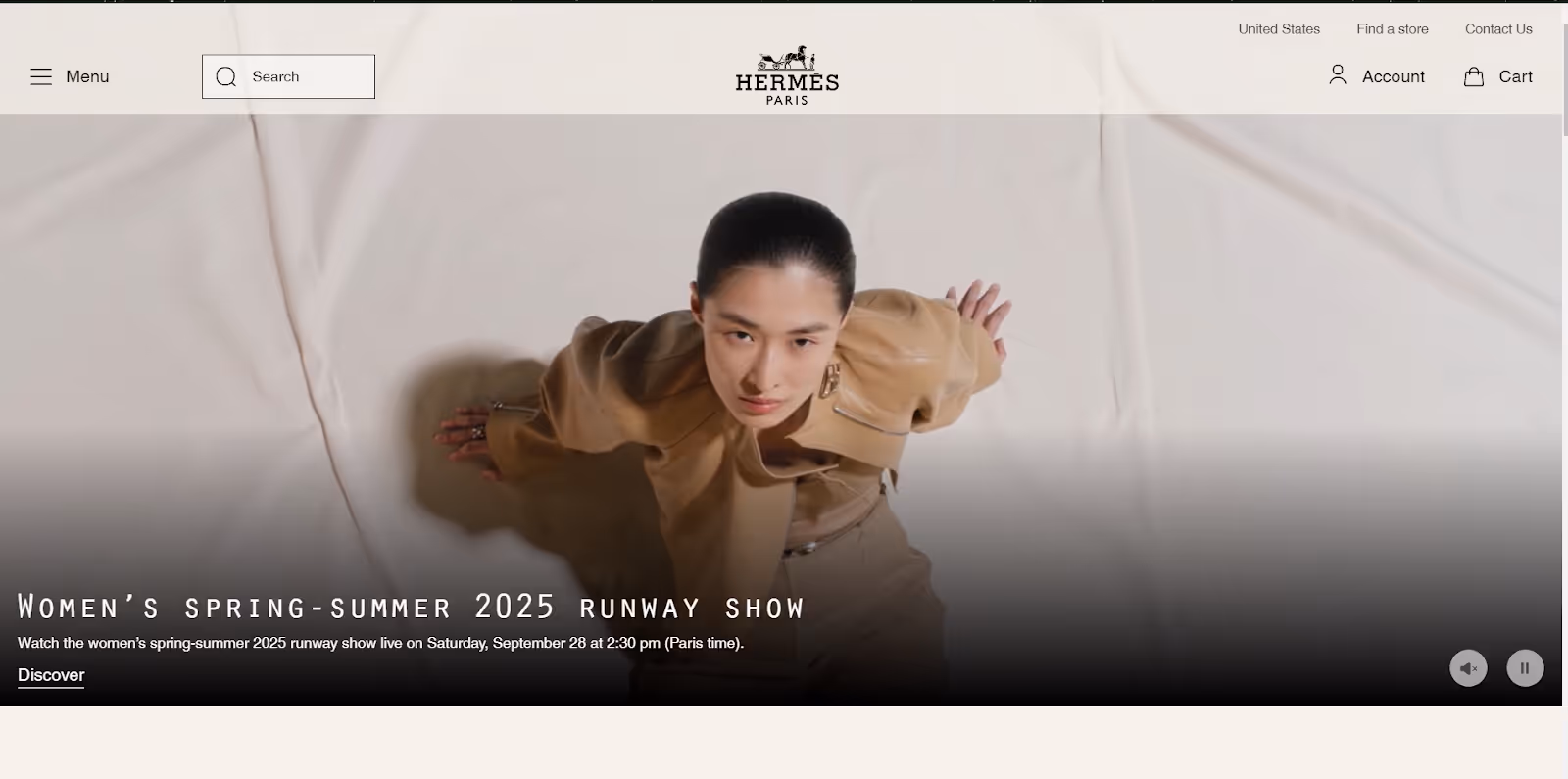 Screenshot der Website von Hermes