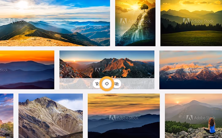 Adobe Stock