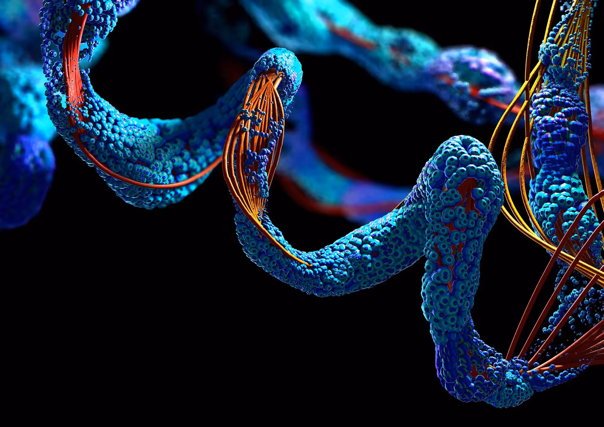 peptides