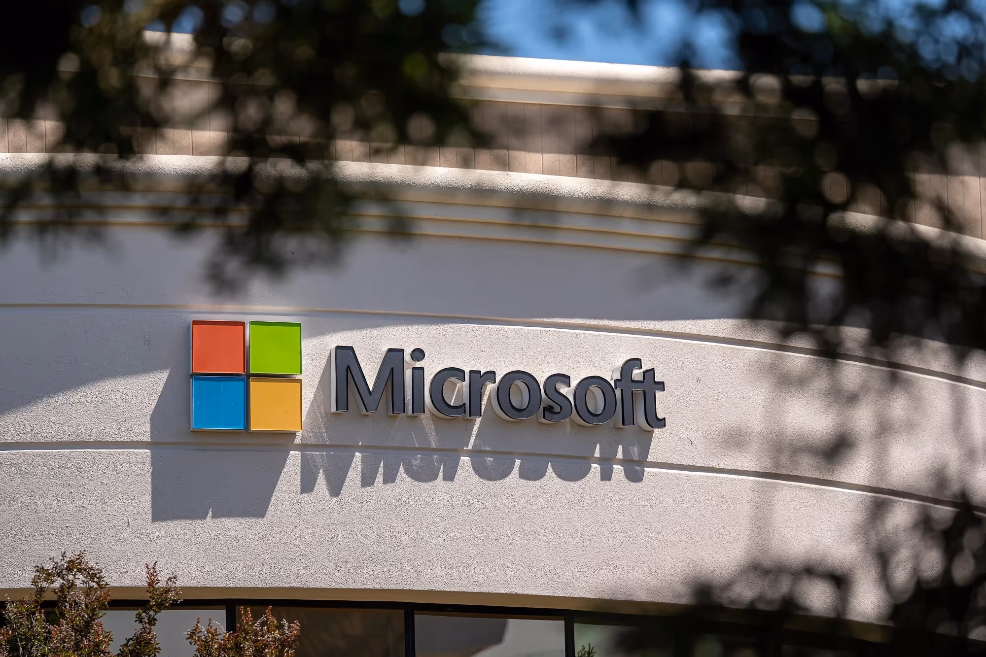 Microsoft