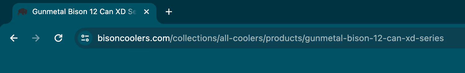 Page Url Example