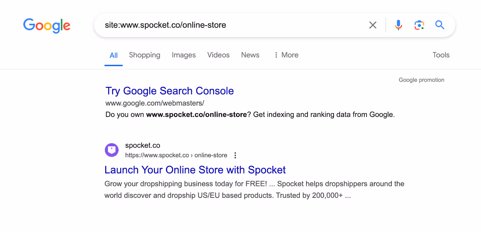 Spocket Google Search