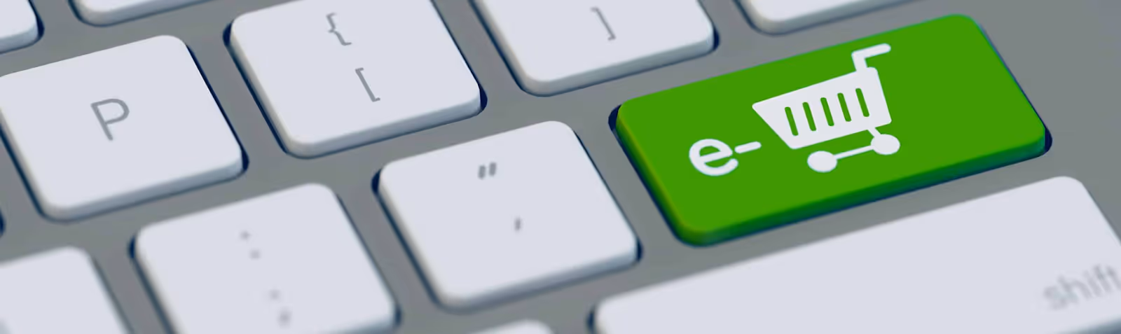 dropshipping ecologico
