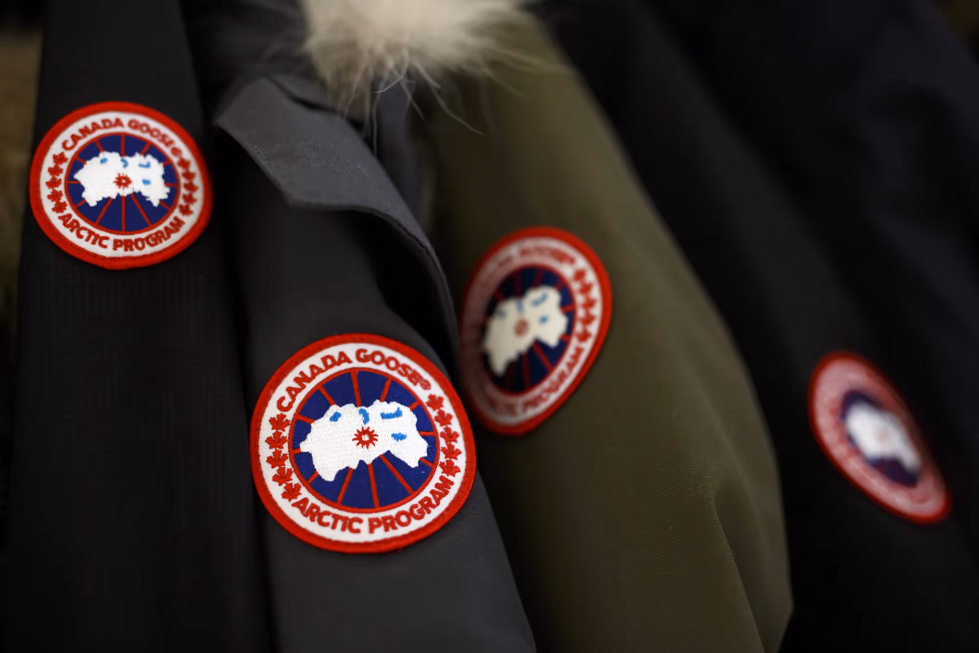 Canada Goose
