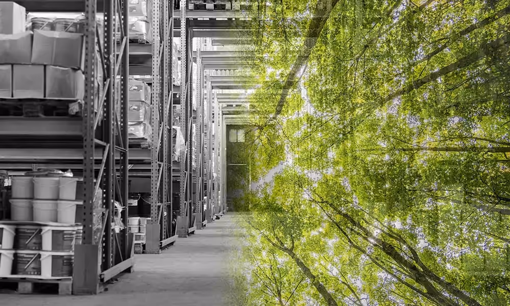 sustainable dropshipping