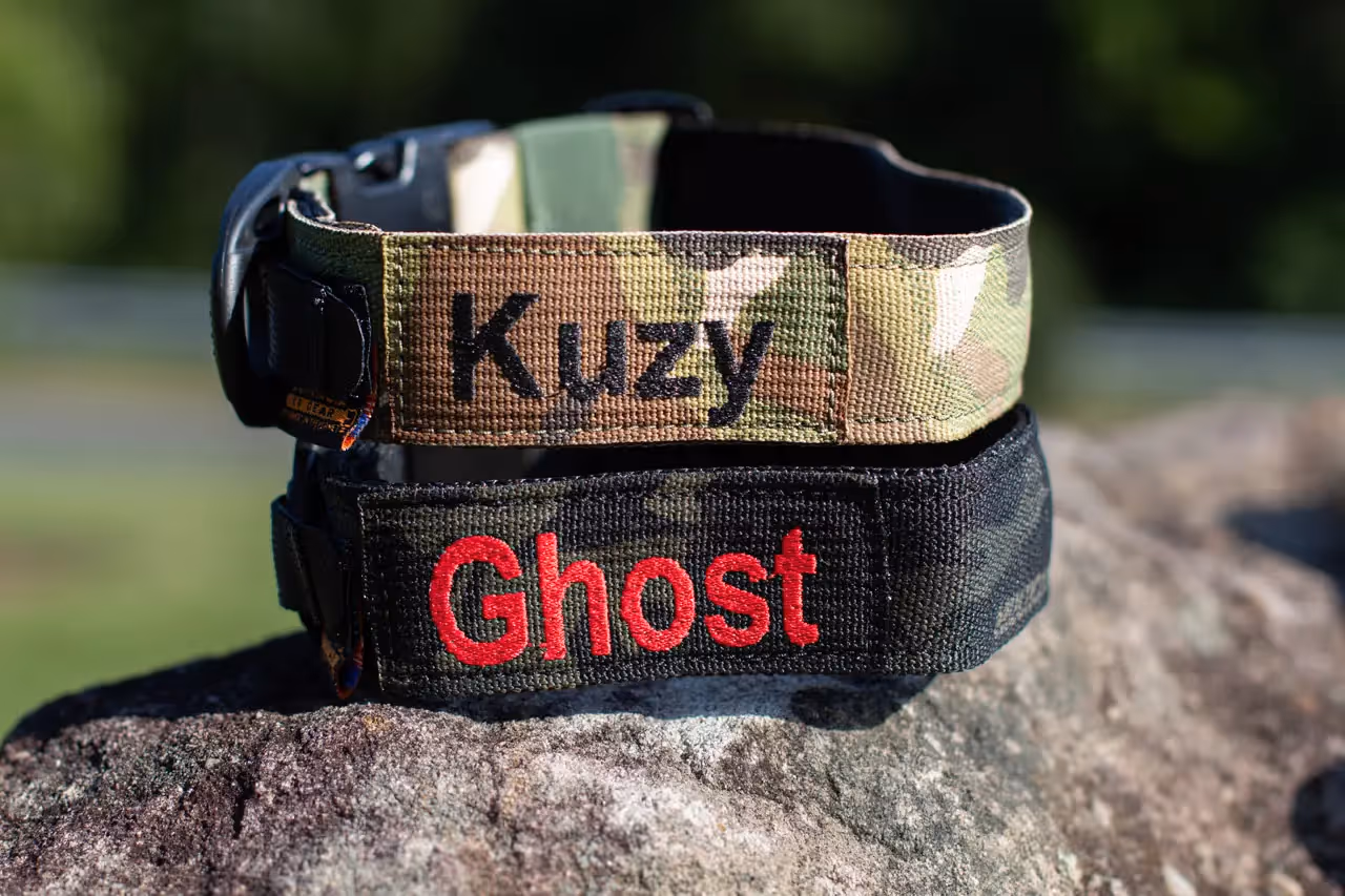 collare e guinzaglio personalizzati per animali domestici