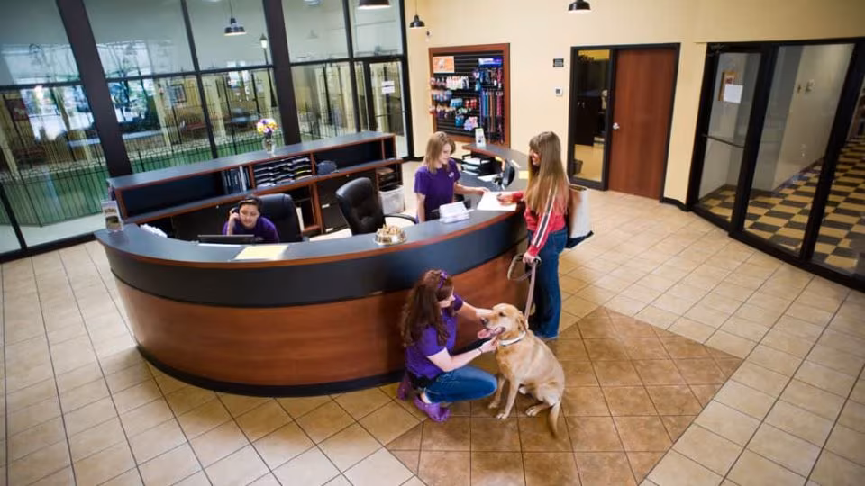 Pet Daycare or Boarding Facility