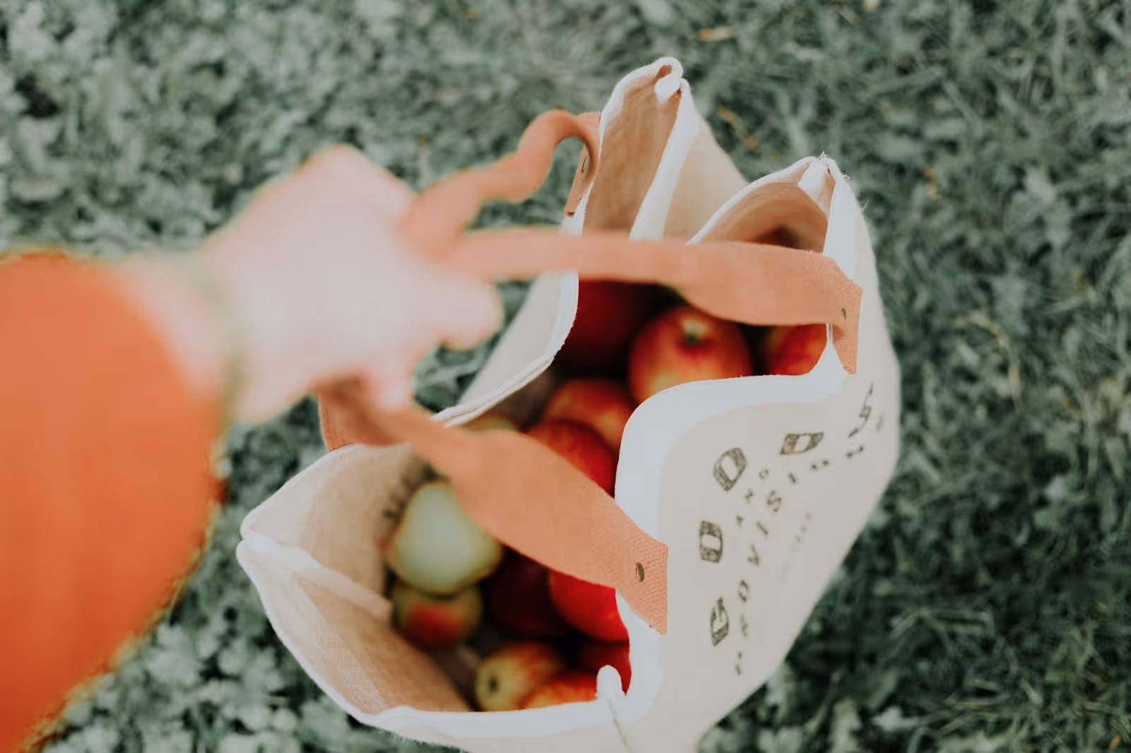 Apple inside handbag