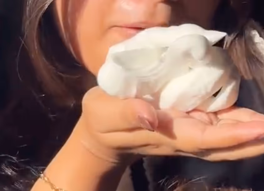 Dropship Whipped Sunscreen