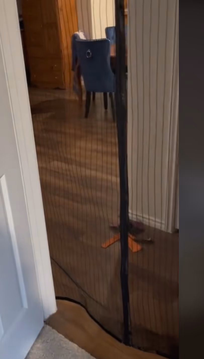 Puerta de pantalla magnética para dropshipping