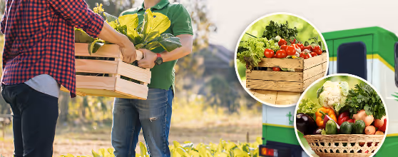 Farm-to-Table Delivery