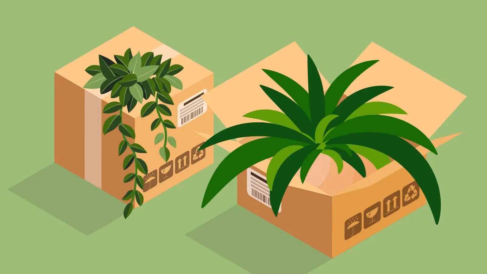 klimaneutrale Versanddienstleister