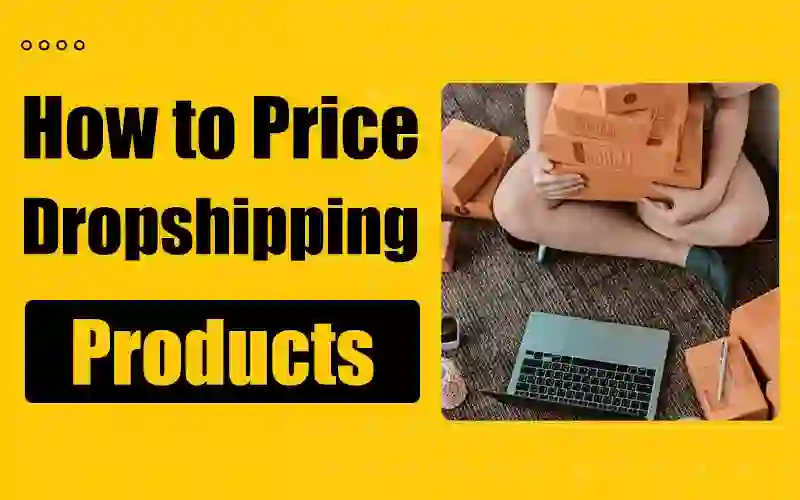 How to Price Dropshipping Products For Maximum Profits?