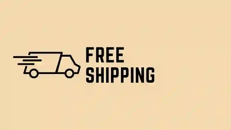 How to Offer Free Shipping in Your Dropshipping Store Without Killing Your Margins?
