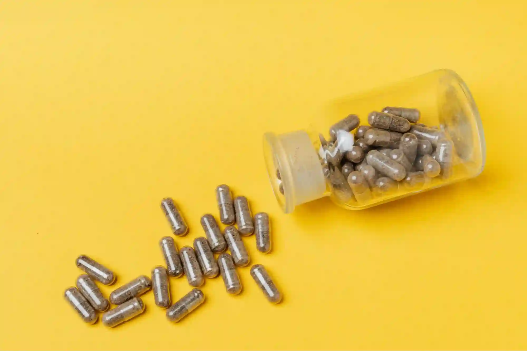 De Técnico Veterinário a Marca de Suplementos Pet de CAD $34K: Como Derek Fontaine Usou a Spocket para Construir uma Marca que os Veterinários Realmente Recomendam