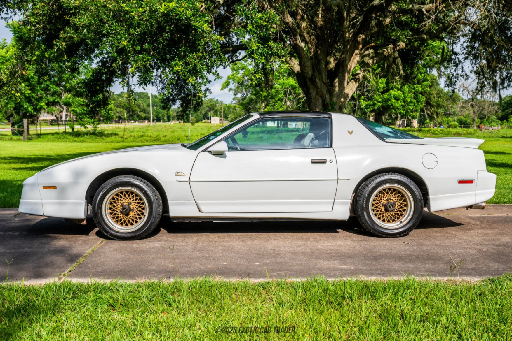 Driver side shot of vehicle